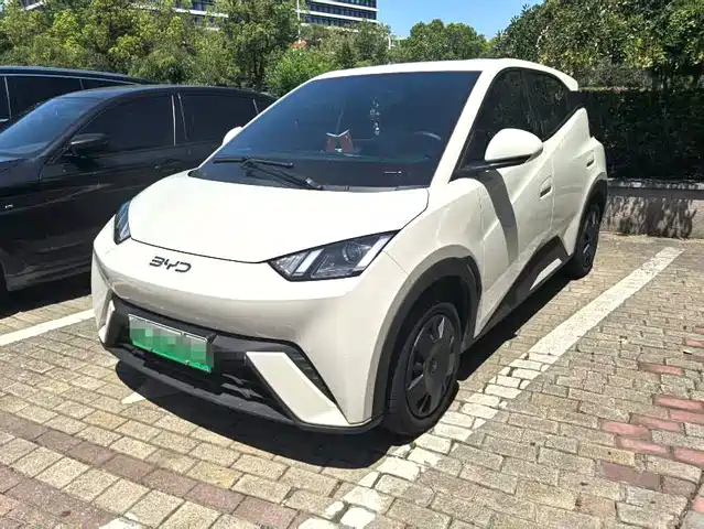 BYD Seagull 2025