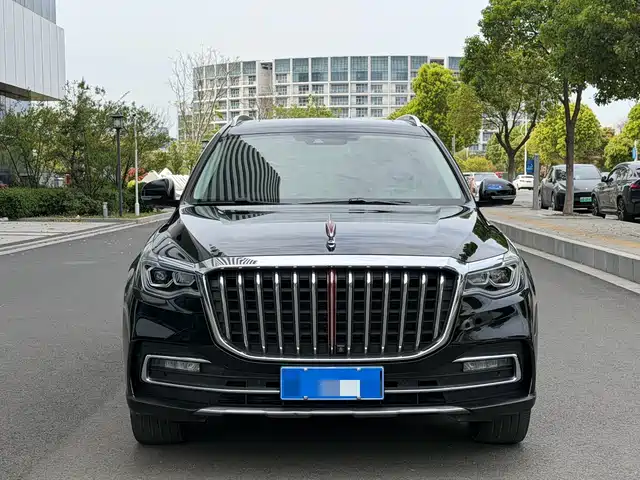 Hongqi Hongqi HS7 2021