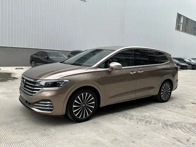 Volkswagen Viloran 2021