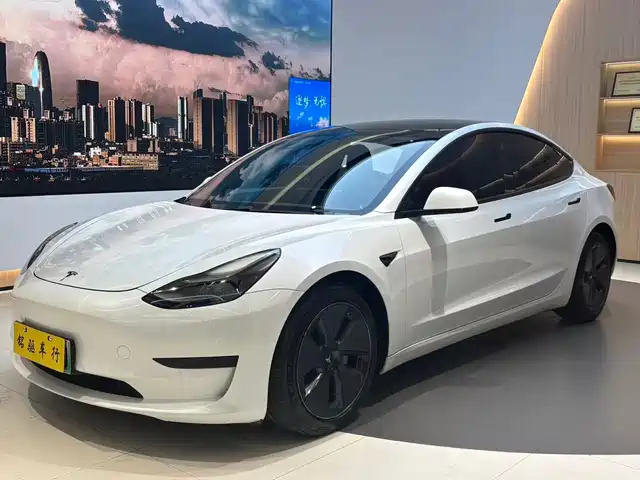 Tesla Model 3 2021