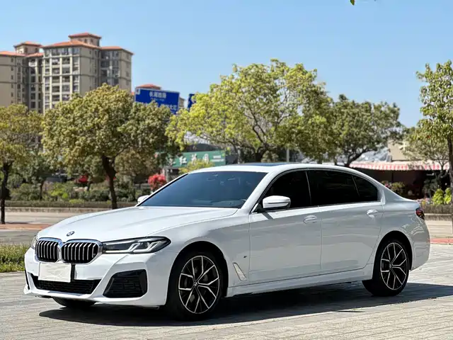 BMW BMW 5 Series 2021