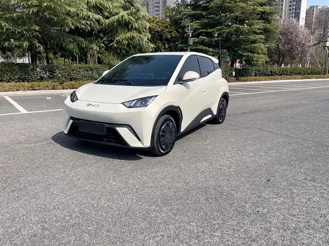 BYD Seagull 2025