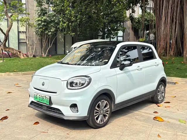 Leapmotor Leapmotor T03 2024