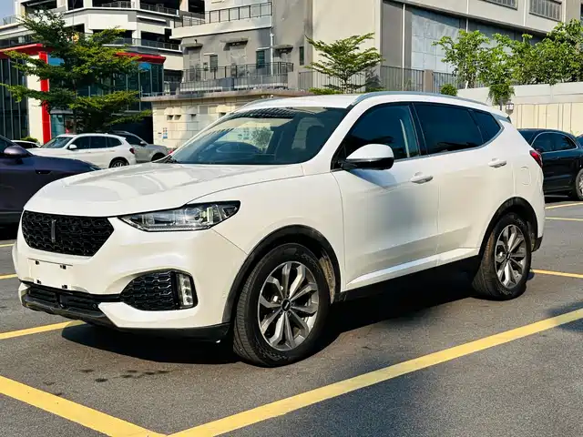 WEY Wey VV6 2019