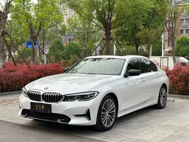BMW BMW 3 Series 2019