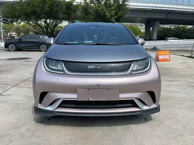 BYD Dolphin 2022