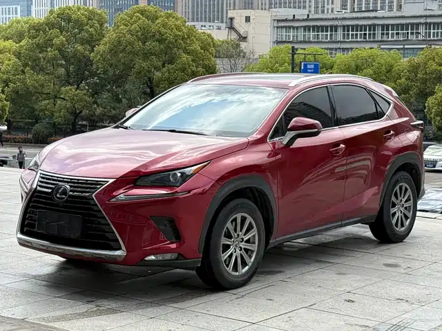 Lexus Lexus NX 2020