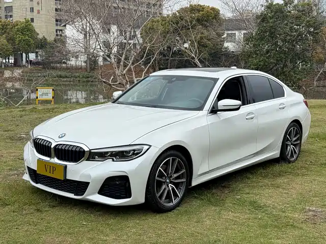 BMW BMW 3 Series 2020