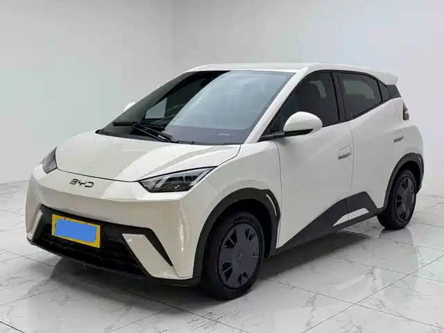 BYD Seagull 2024