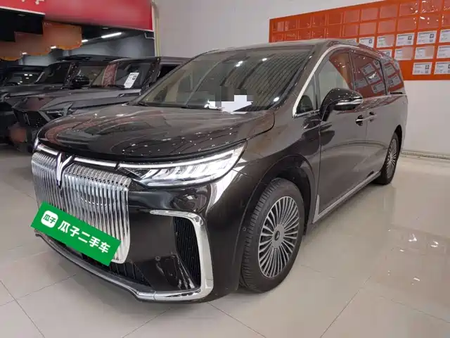 Voyah Auto Voyah Dreamer 2024
