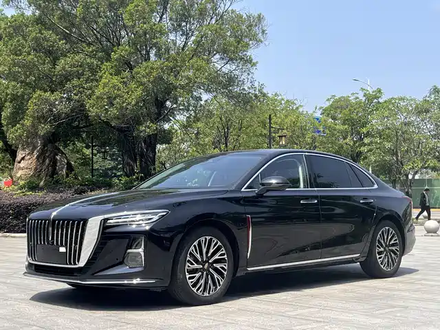 Hongqi Hongqi H5 2024