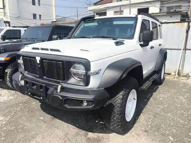 Tank Tank 300 2024