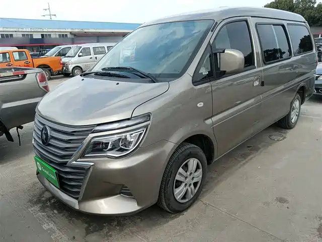 Dongfeng Fengxing Lingzhi 2025