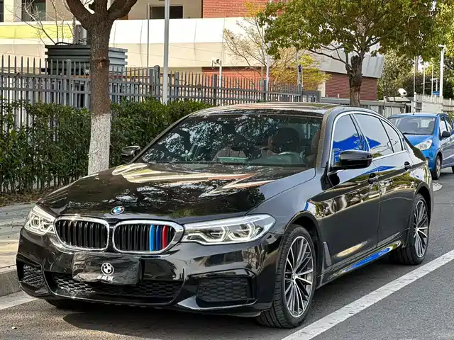 BMW BMW 5 Series 2020