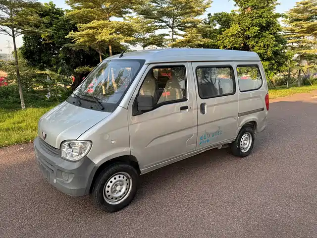 Wuling Motors Wuling Zhiguang