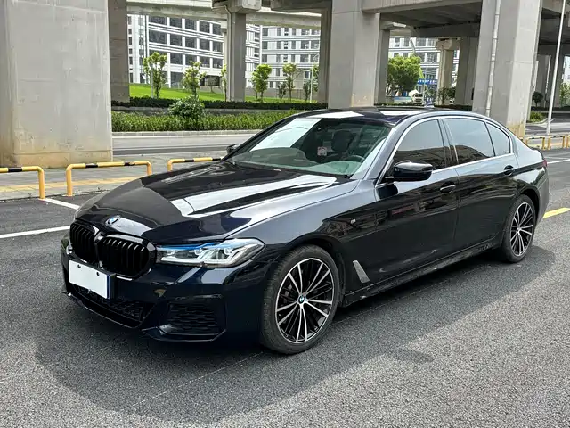 BMW BMW 5 Series 2020
