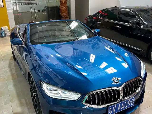 BMW BMW 8 Series 2019