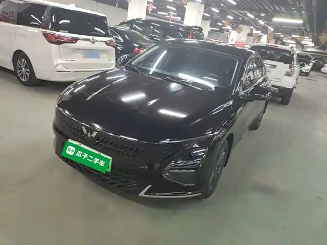 Wuling Motors Wuling Xingguang 2024