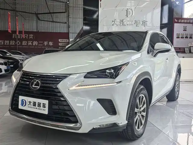 Lexus Lexus NX 2021