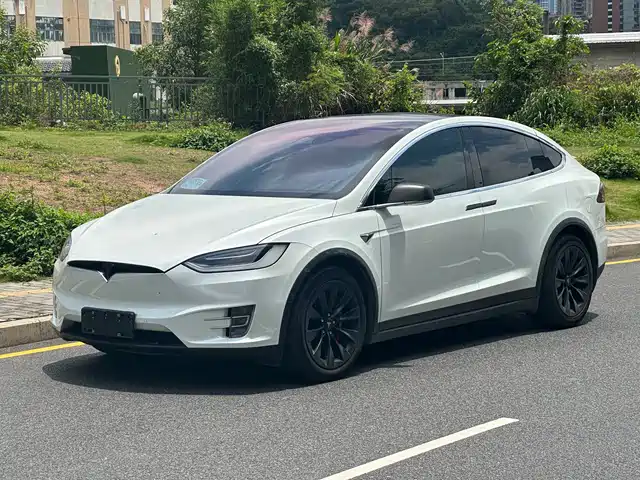 Tesla Model X 2019