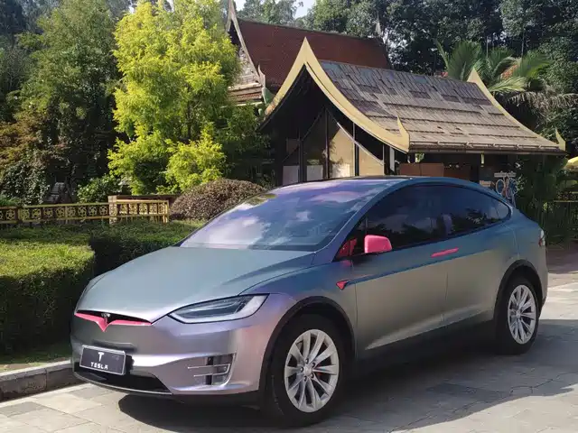 Tesla Model X 2019
