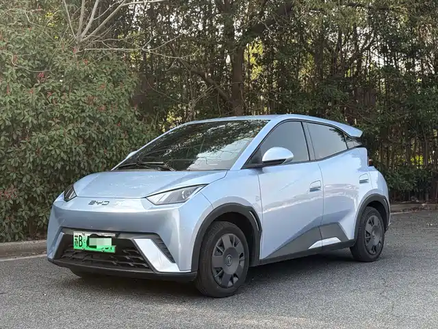 BYD Seagull 2024