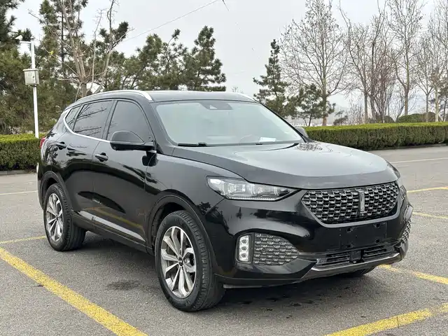 WEY Wey VV6 2020