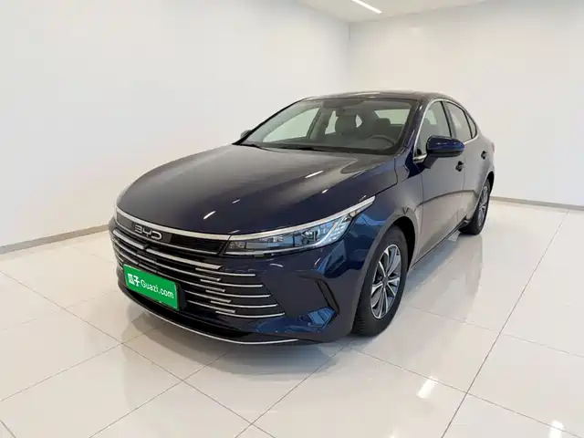 BYD Destroyer 05 2024