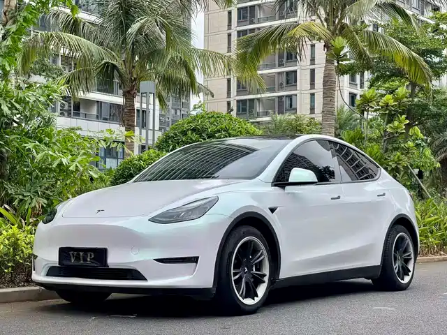 Tesla Model Y 2021