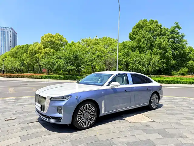 Hongqi Hongqi H9 2024