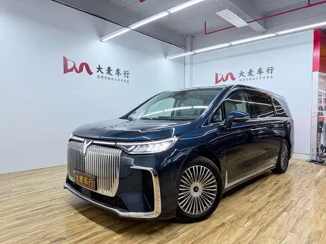 Voyah Auto Voyah Dreamer 2025