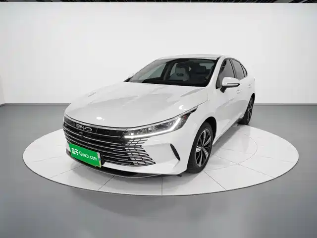 BYD Destroyer 05 2024