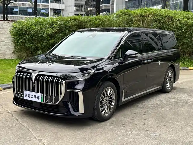 Voyah Auto Voyah Dreamer 2024