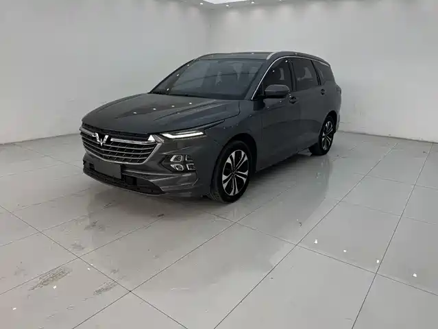 Wuling Motors Wuling Victory 2021