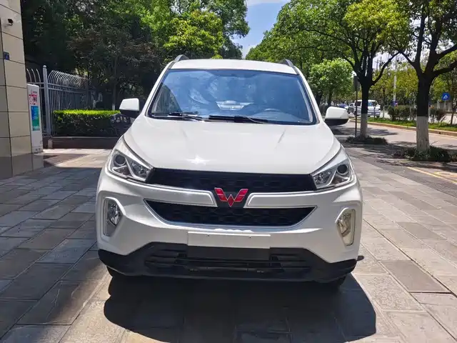 Wuling Motors Wuling Hongguang S3