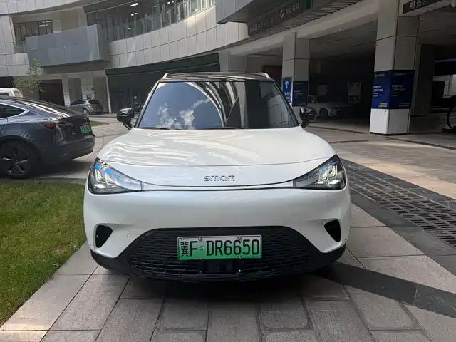 smart smart Elf #1 2025