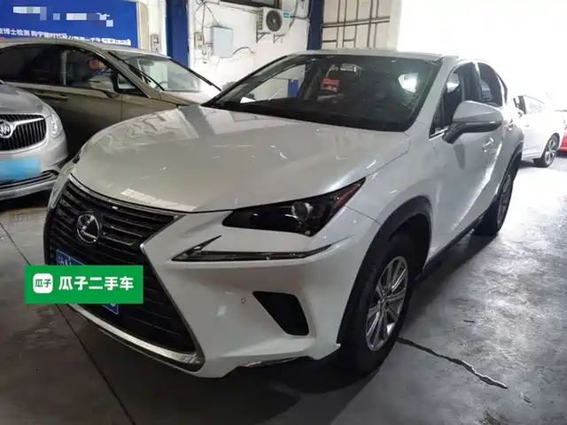 Lexus Lexus NX 2021
