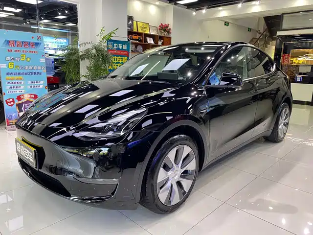 Tesla Model Y 2021