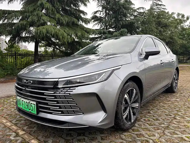 BYD Destroyer 05 2024