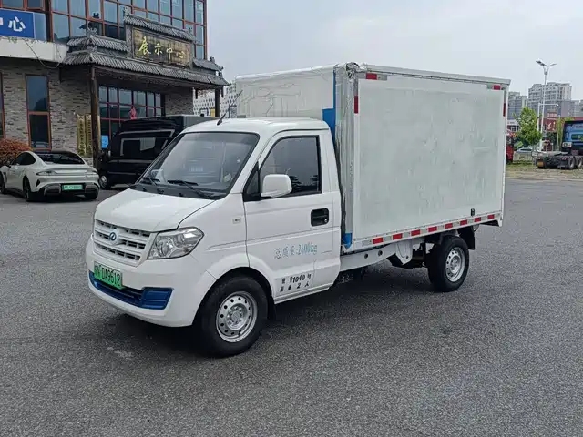 Ruichi Ruichi New Energy EC31 2023