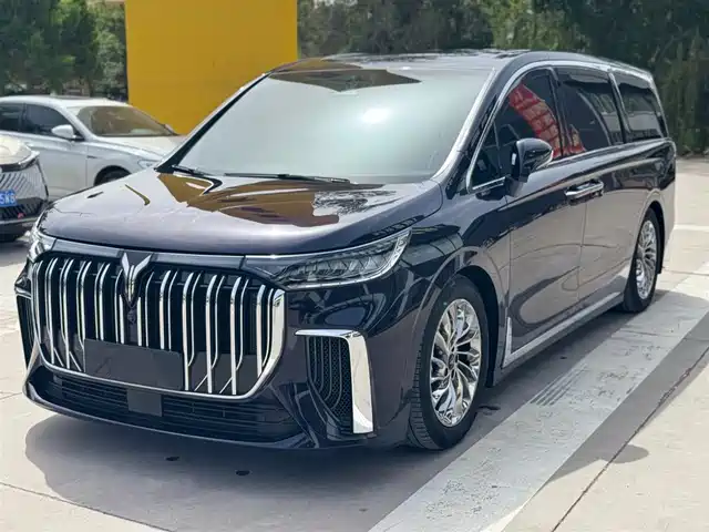 Voyah Auto Voyah Dreamer 2024