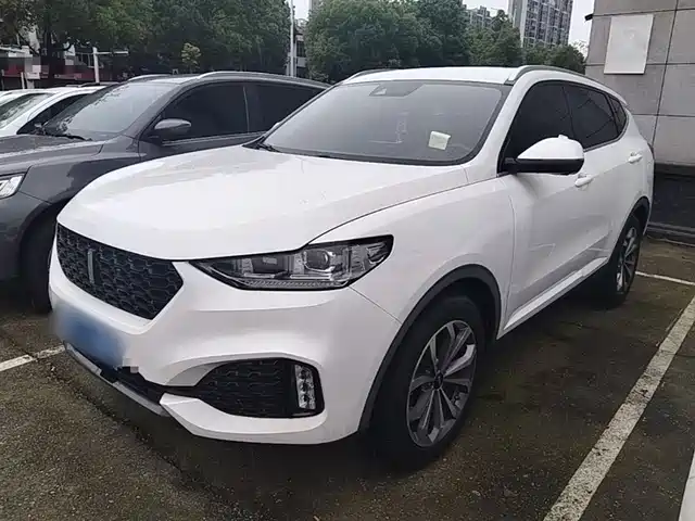 WEY Wey VV6 2019