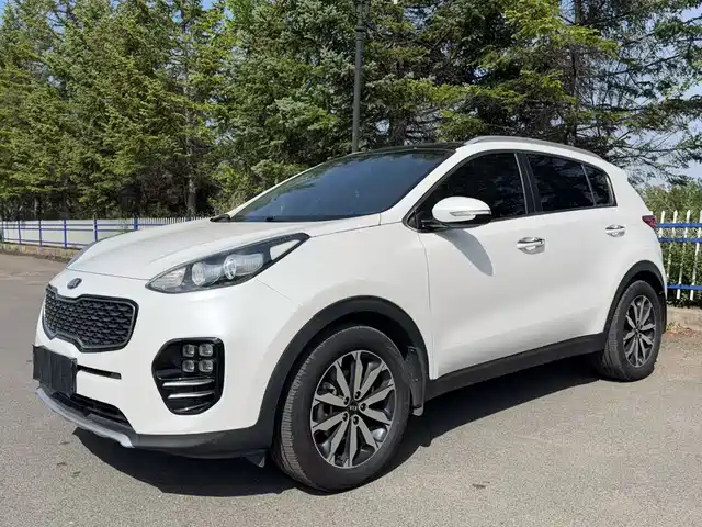 Kia Kia KX5 2017