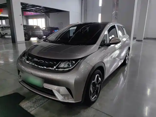 BYD Dolphin