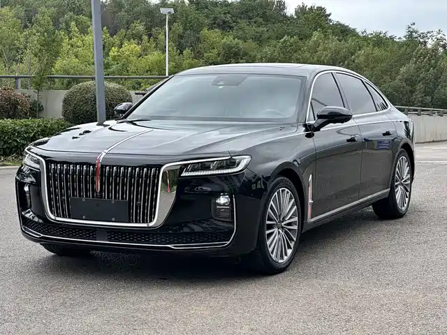Hongqi Hongqi H9 2020