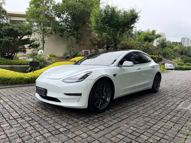 Tesla Model 3 (Import) 2019