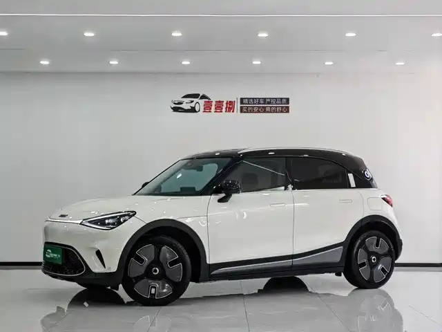smart smart Elf #1 2024