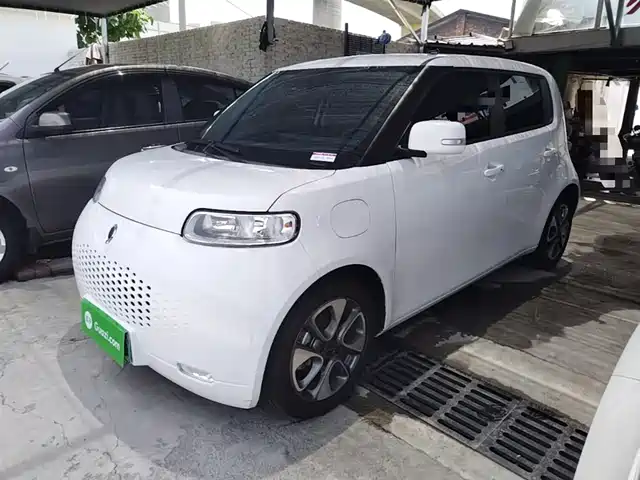 Ora Ora White Cat 2021
