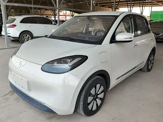 Wuling Motors Wuling Bingo