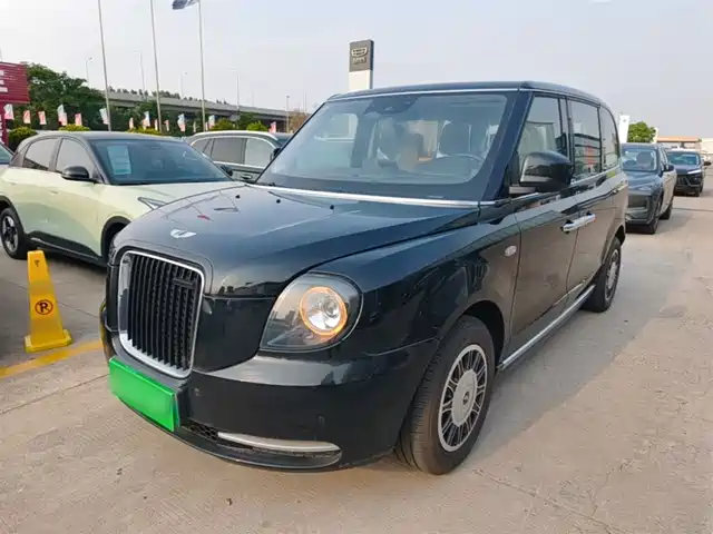 LEVC LEVC TX 2024